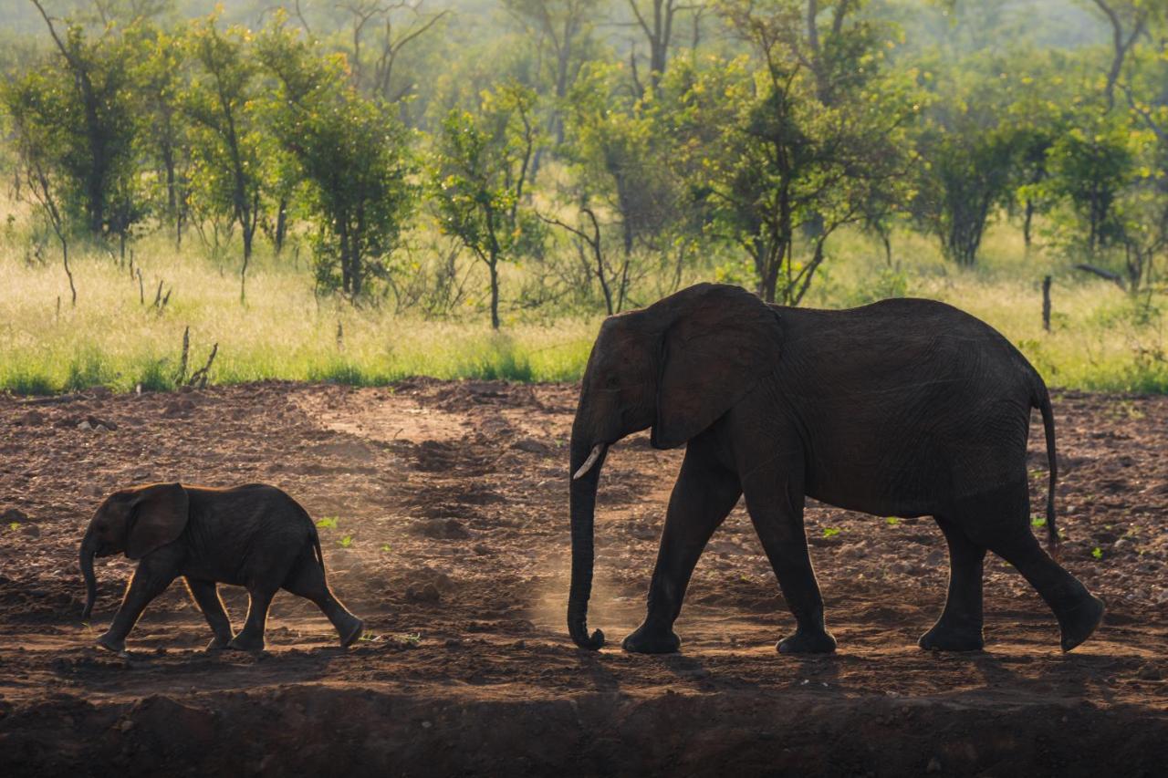 Milima Big 5 Safari Lodge Hoedspruit Luaran gambar